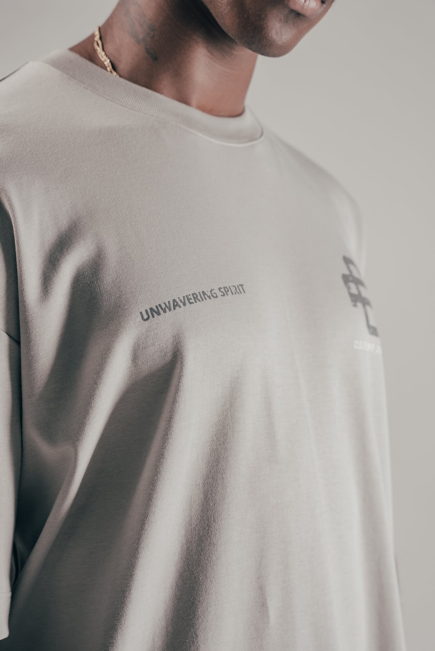CAMISETA EMBLEM GRAY